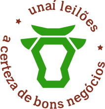 Unaí Leilões