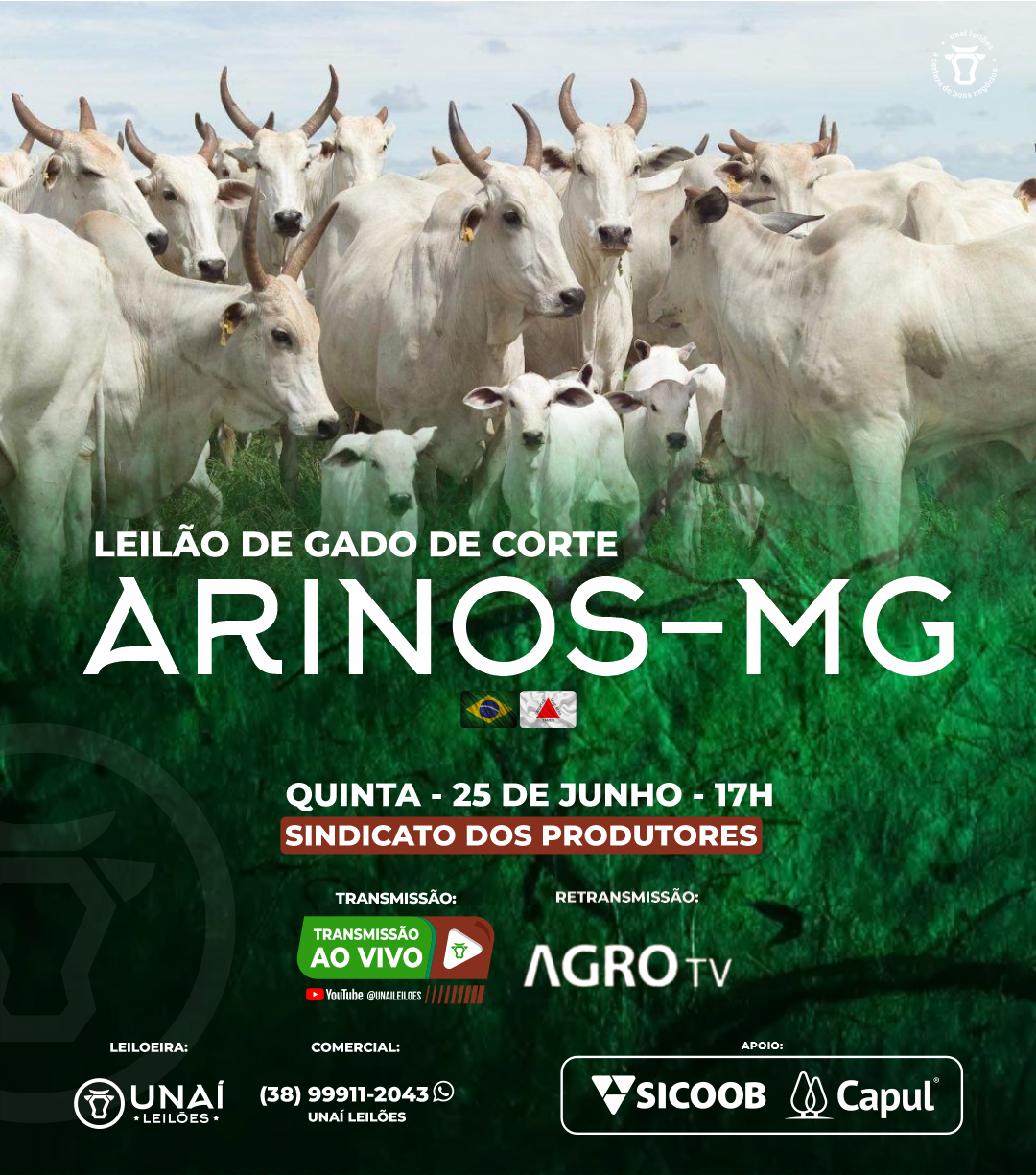 LEIL�O DE GADO DE CORTE DE ARINOS-MG