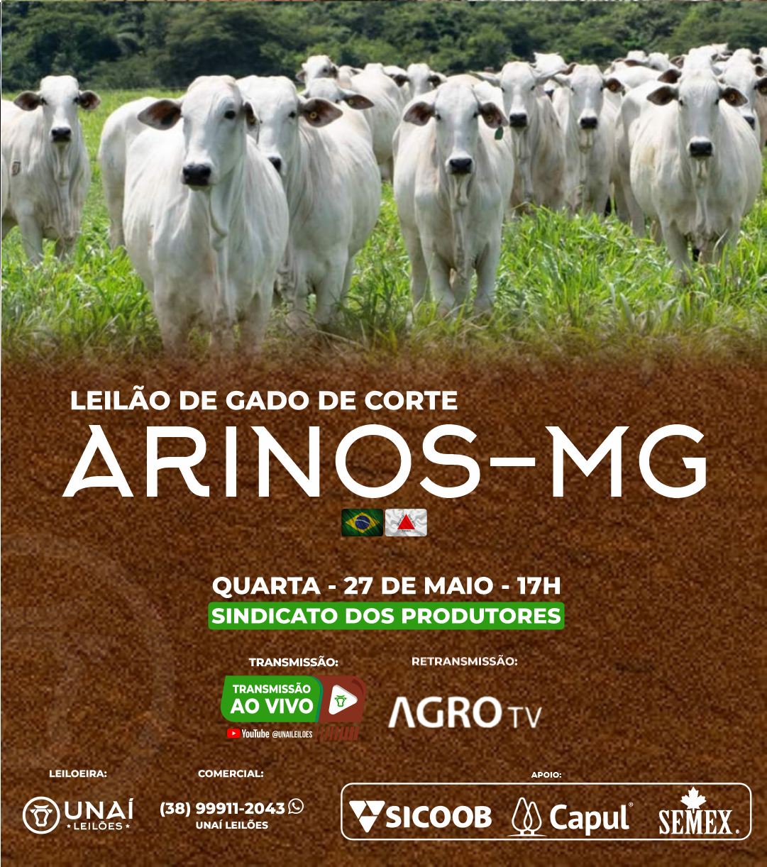 LEIL�O DE GADO DE CORTE DE ARINOS-MG