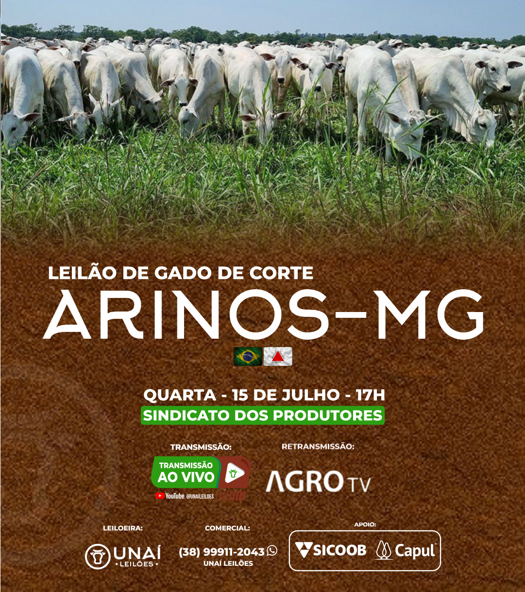 LEIL�O DE GADO DE CORTE DE ARINOS-MG