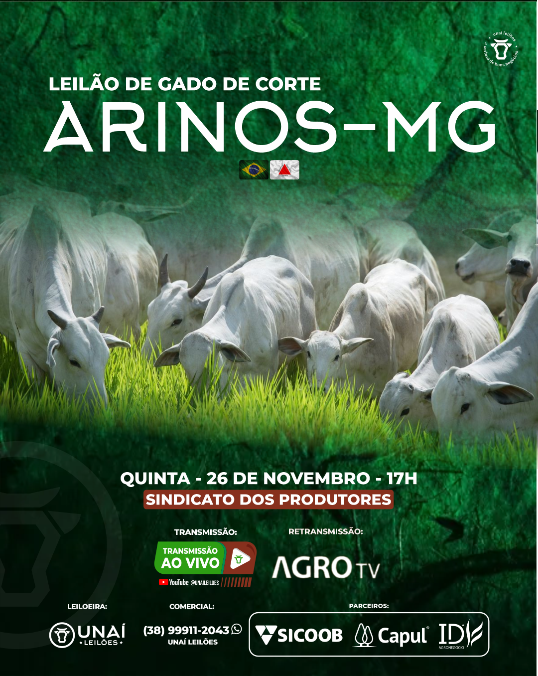 LEIL�O DE GADO DE CORTE DE ARINOS-MG