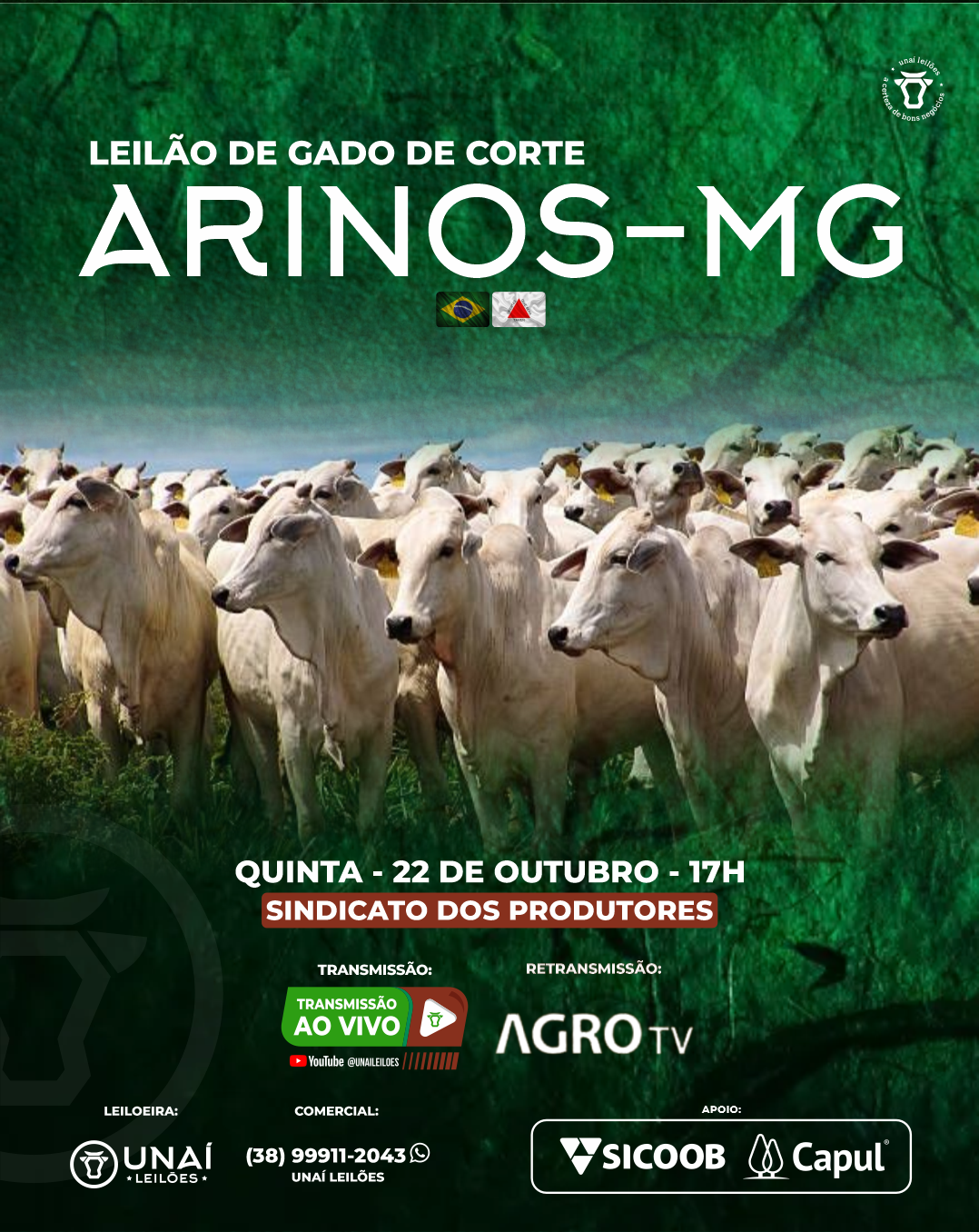 LEIL�O DE GADO DE CORTE DE ARINOS-MG