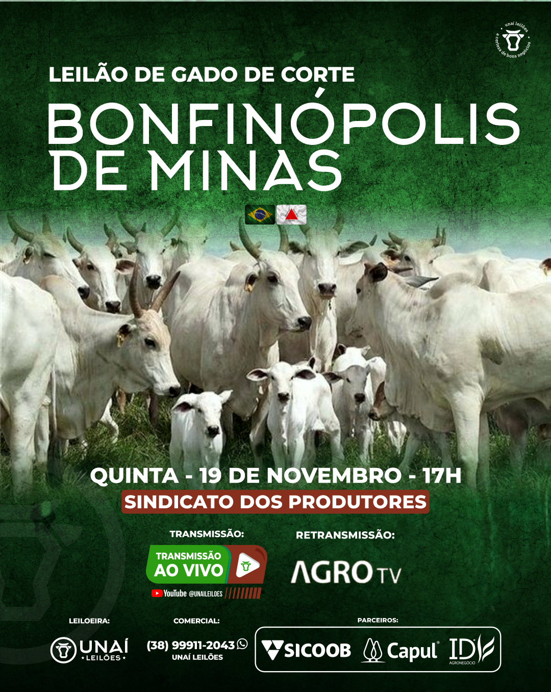 LEIL�O DE GADO DE CORTE DE BONFIN�POLIS DE MINAS-MG