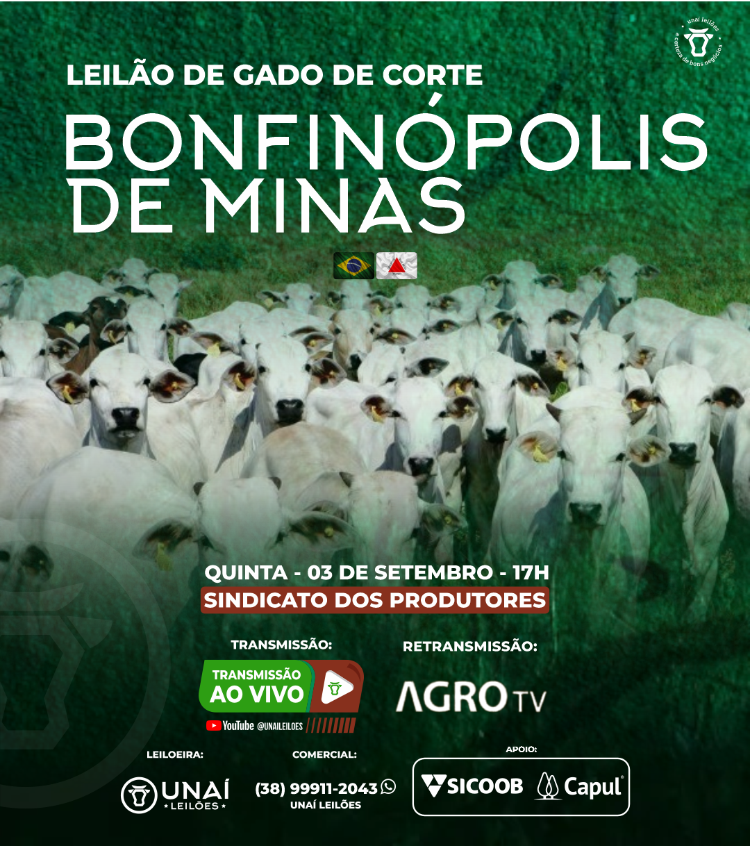 LEIL�O DE GADO DE CORTE DE BONFIN�POLIS DE MINAS-MG