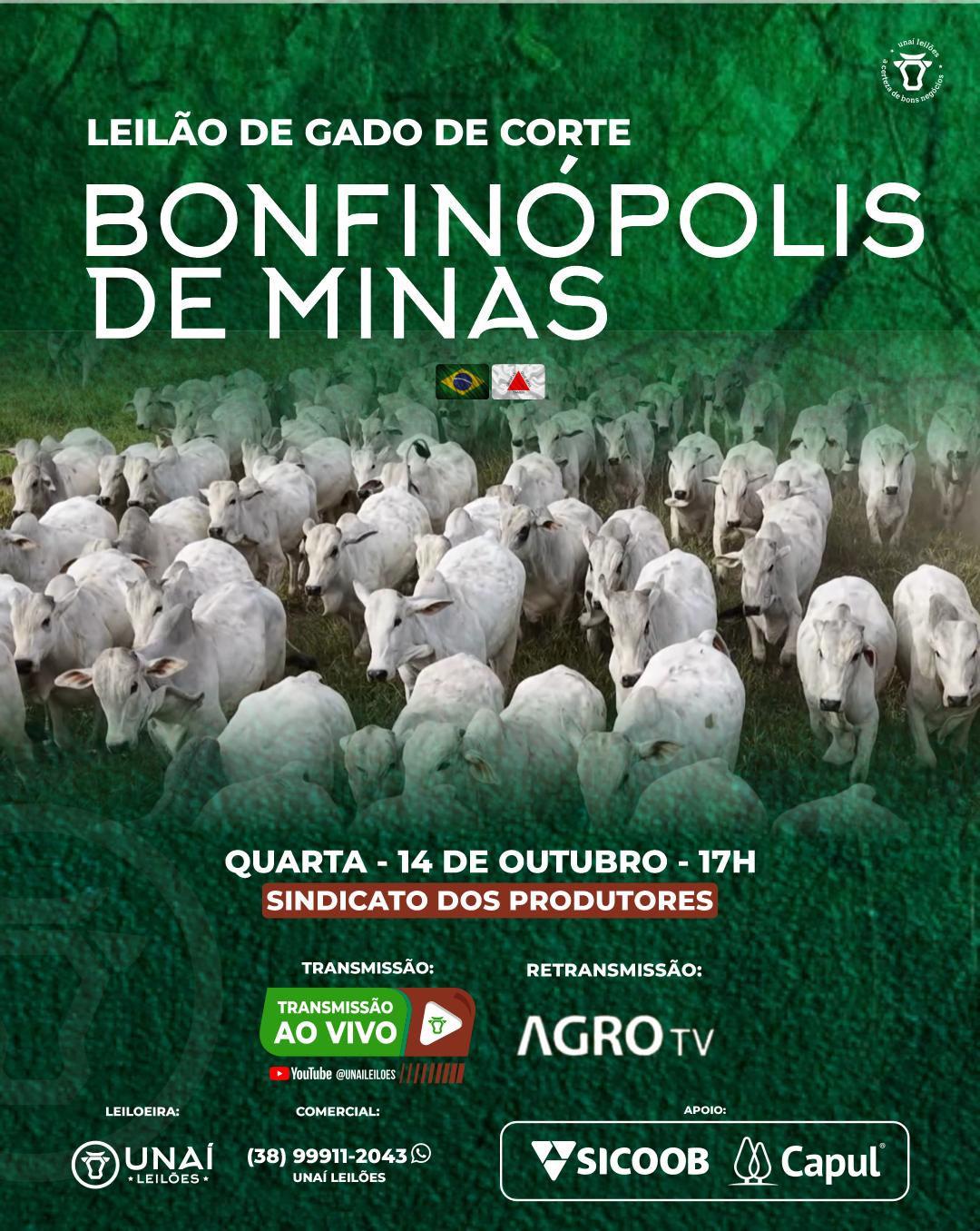 LEIL�O DE GADO DE CORTE DE BONFIN�POLIS DE MINAS-MG
