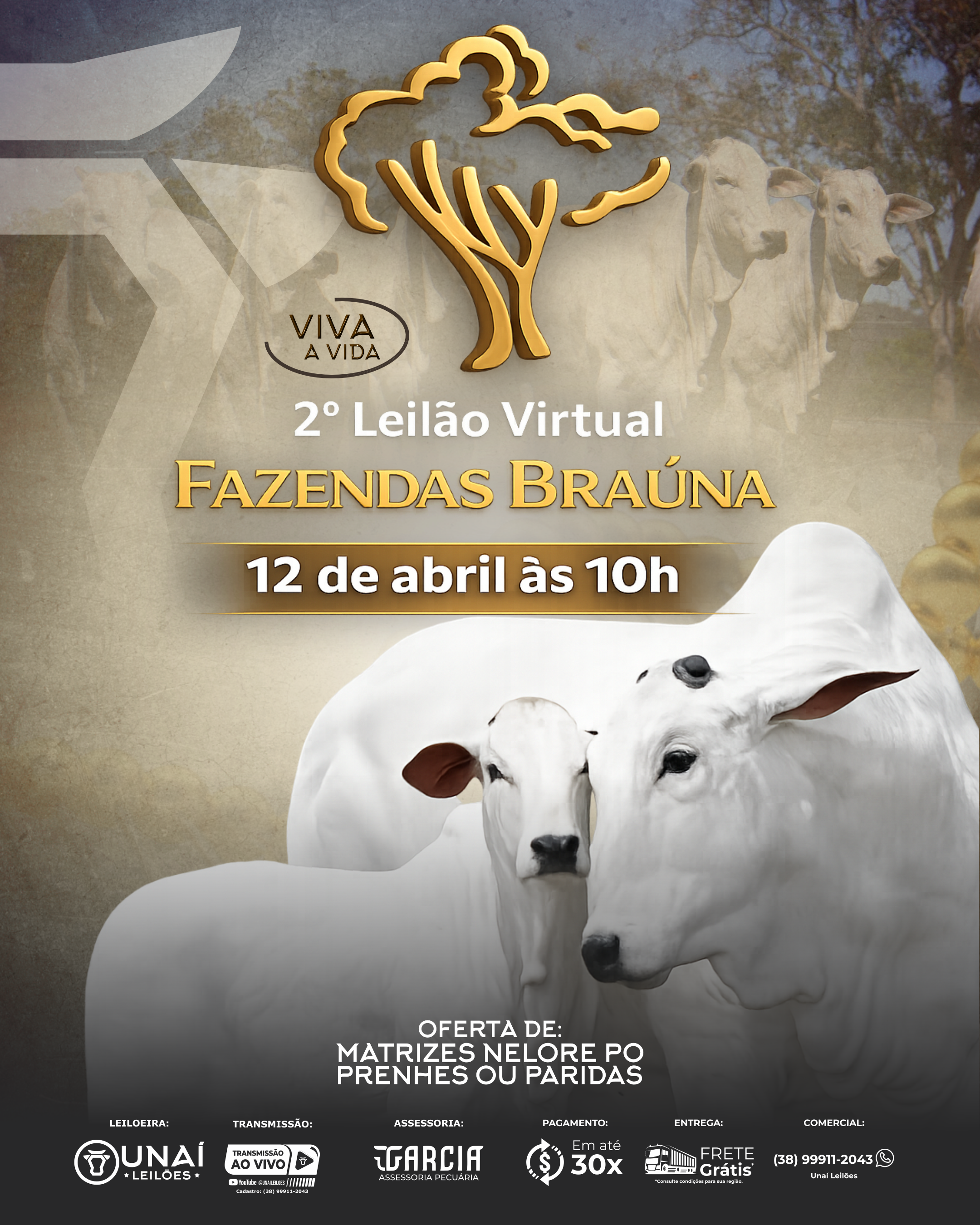 2� LEIL�O VIRTUAL FAZENDAS BRA�NA