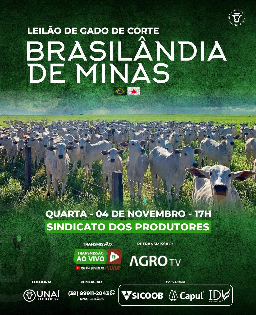 LEIL�O DE GADO DE CORTE DE BRASIL�NDIA DE MINAS-MG
