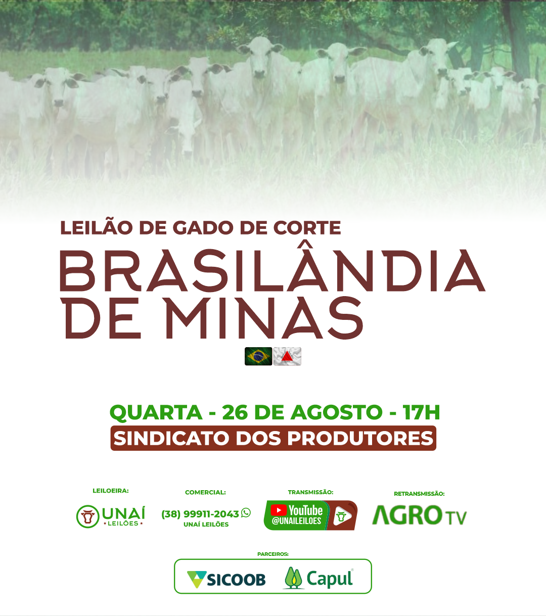 LEIL�O DE GADO DE CORTE DE BRASIL�NDIA DE MINAS-MG