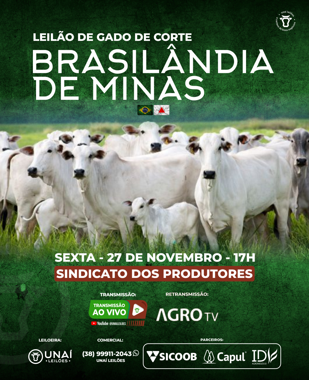 LEIL�O DE GADO DE CORTE DE BRASIL�NDIA DE MINAS-MG