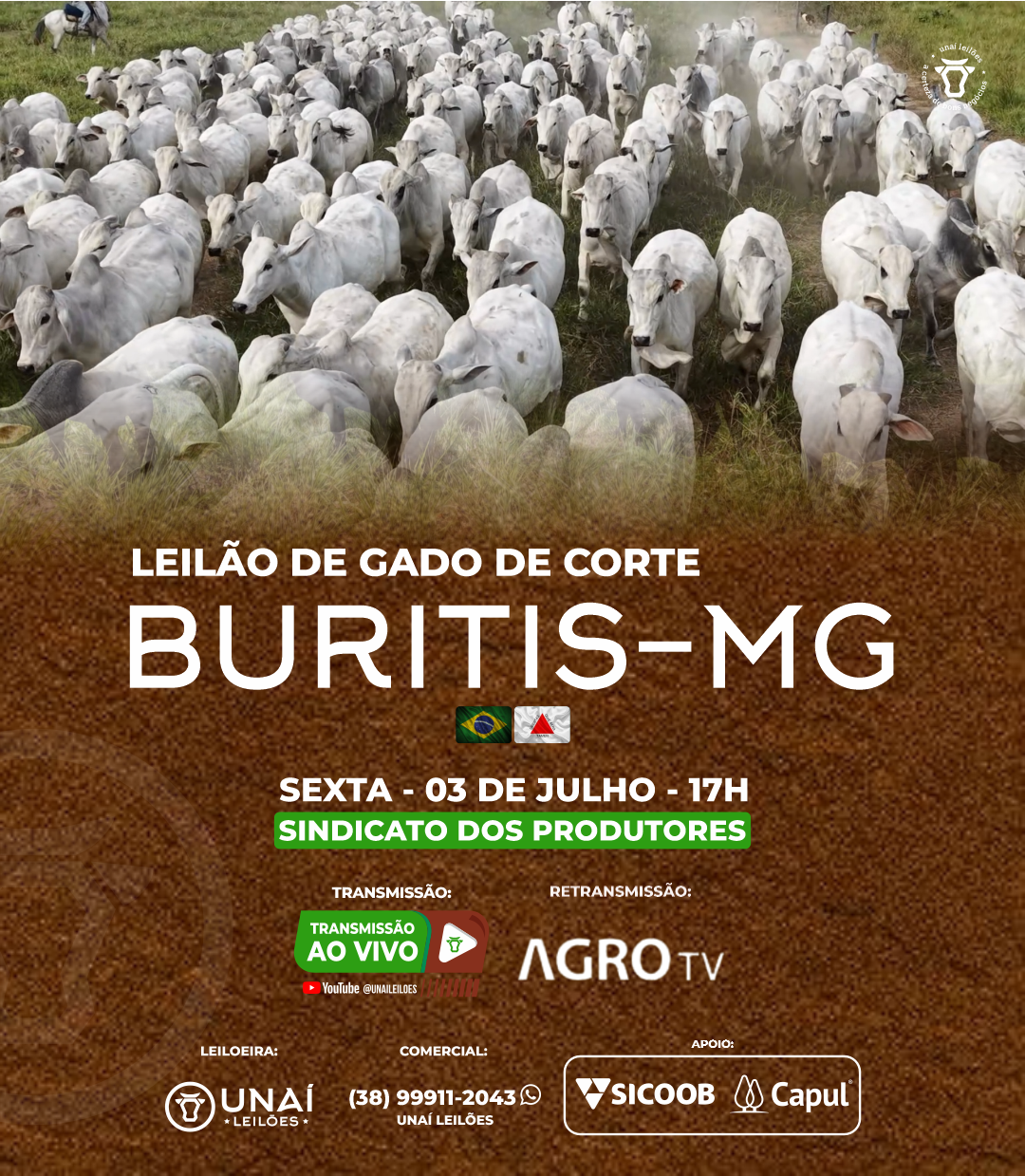 LEIL�O DE GADO DE CORTE DE BURITIS-MG