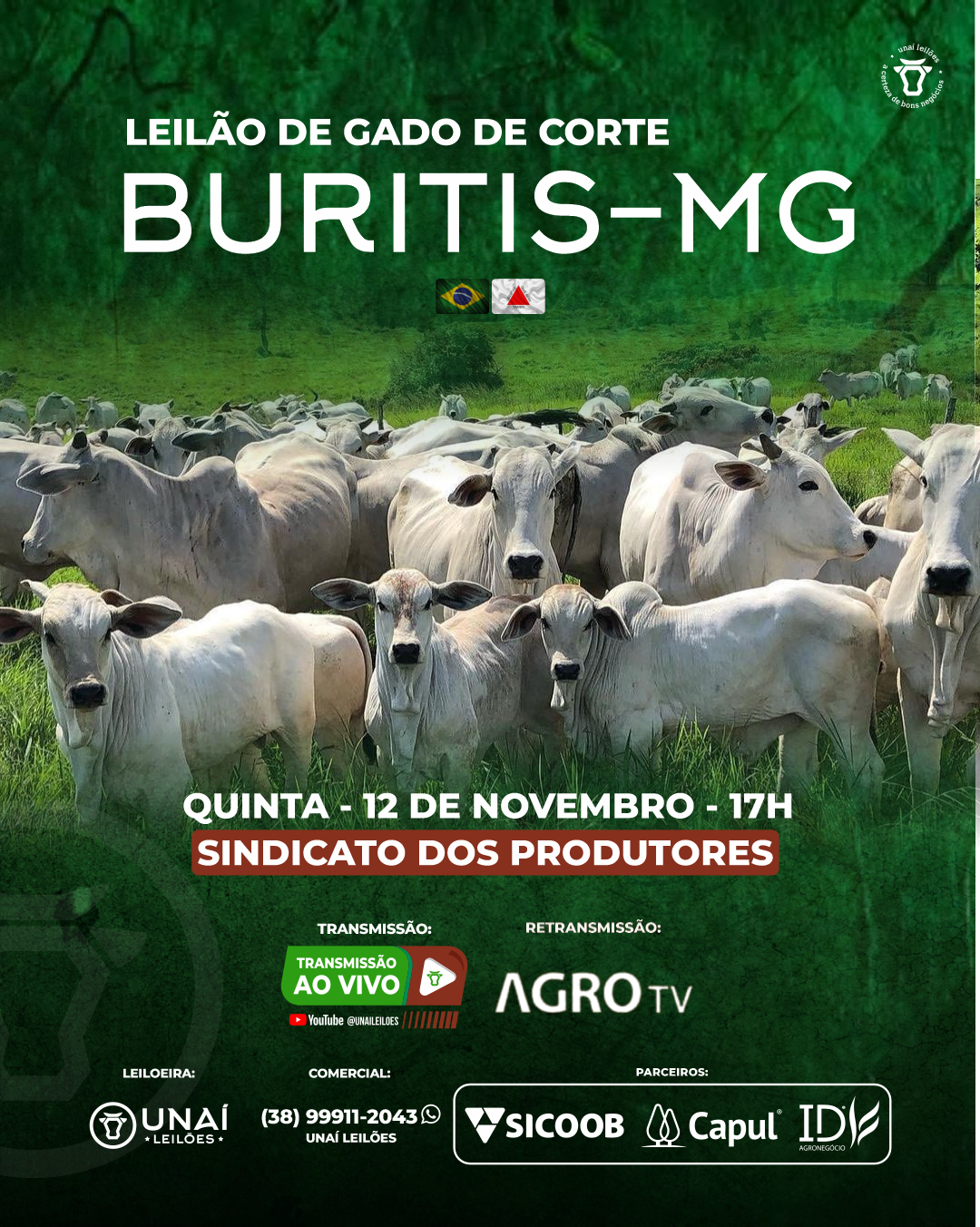 LEIL�O DE GADO DE CORTE DE BURITIS-MG
