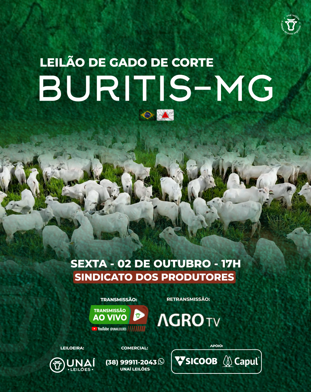 LEIL�O DE GADO DE CORTE DE BURITIS-MG
