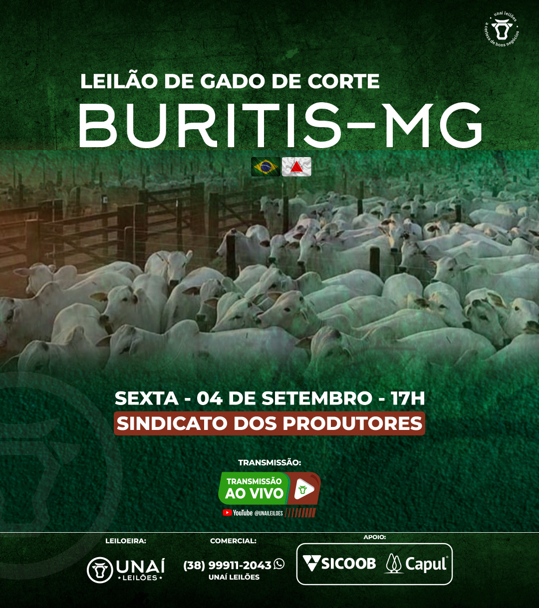 LEIL�O DE GADO DE CORTE DE BURITIS-MG