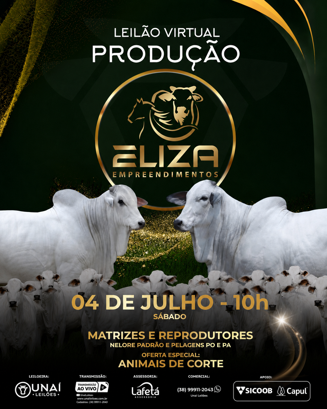 LEIL�O VIRTUAL PRODU��O ELIZA EMPREENDIMENTOS