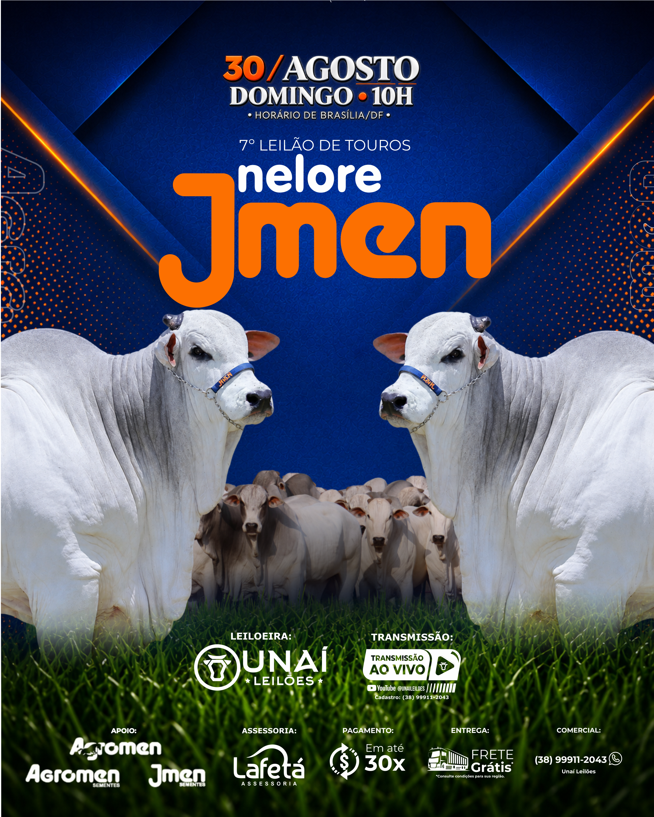 7� LEIL�O DE TOUROS NELORE JMEN