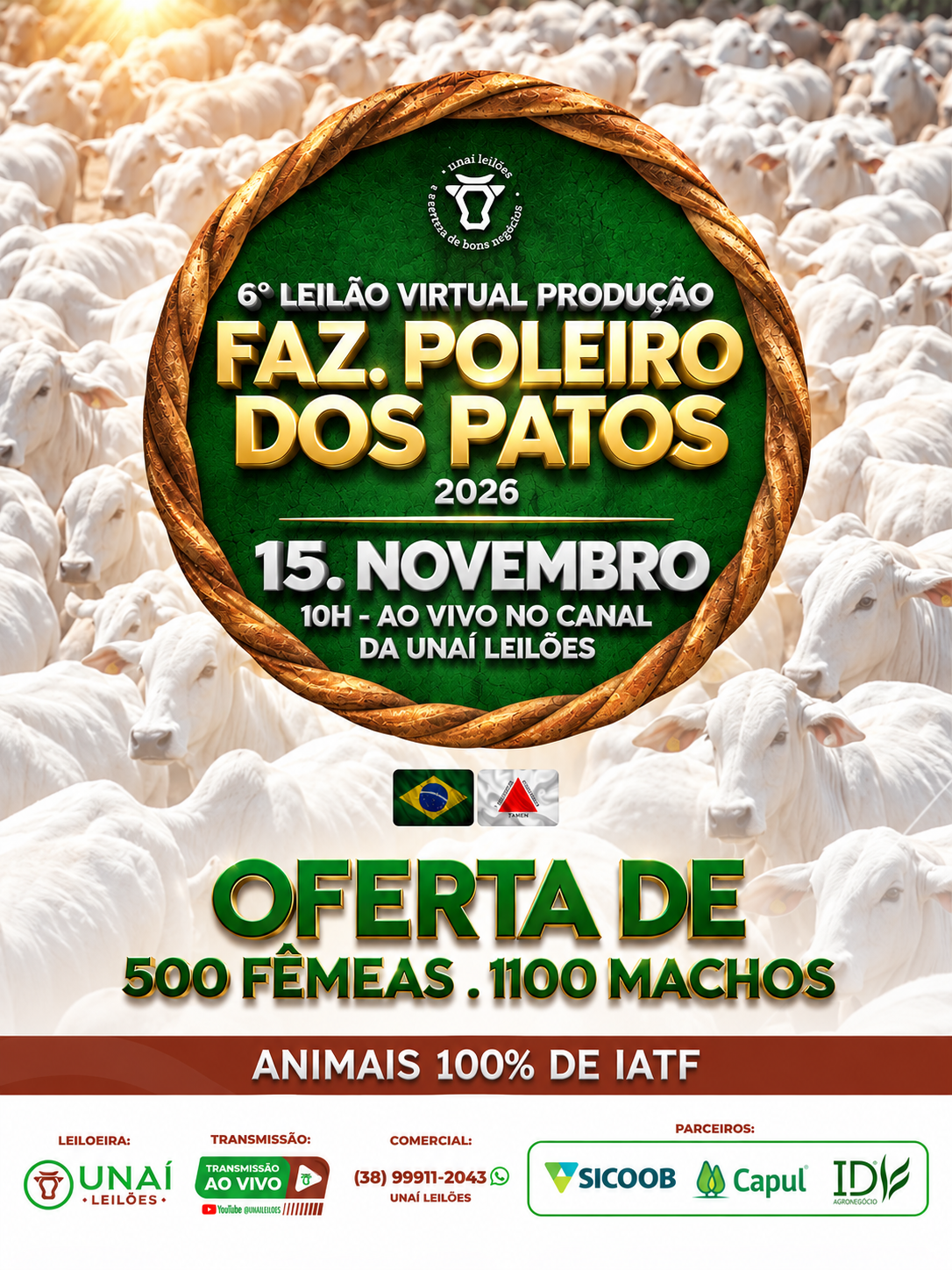 6� LEIL�O VIRTUAL POLEIRO DOS PATOS