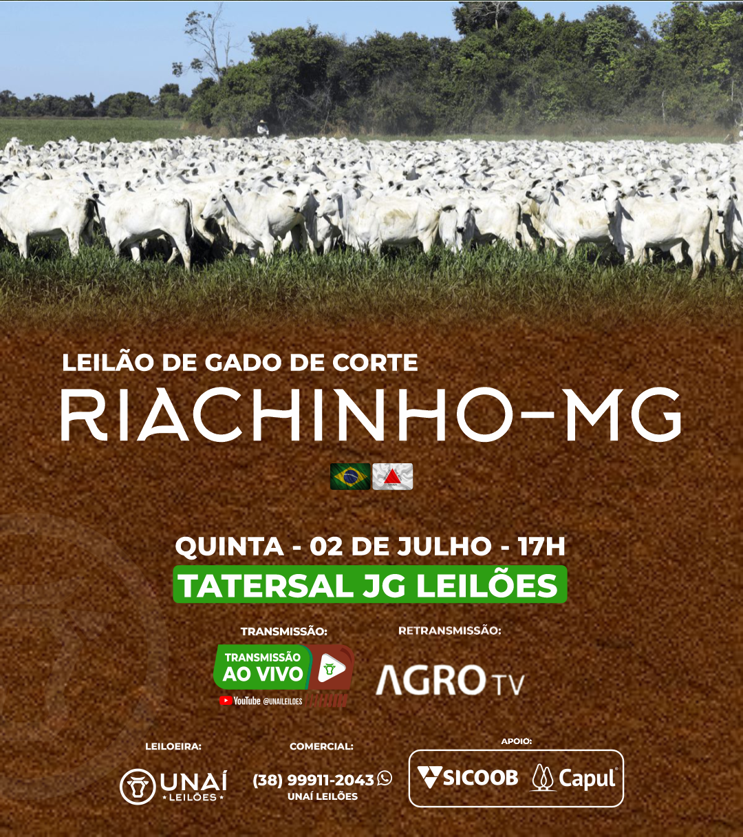 LEIL�O DE GADO DE CORTE DE RIACHINHO-MG