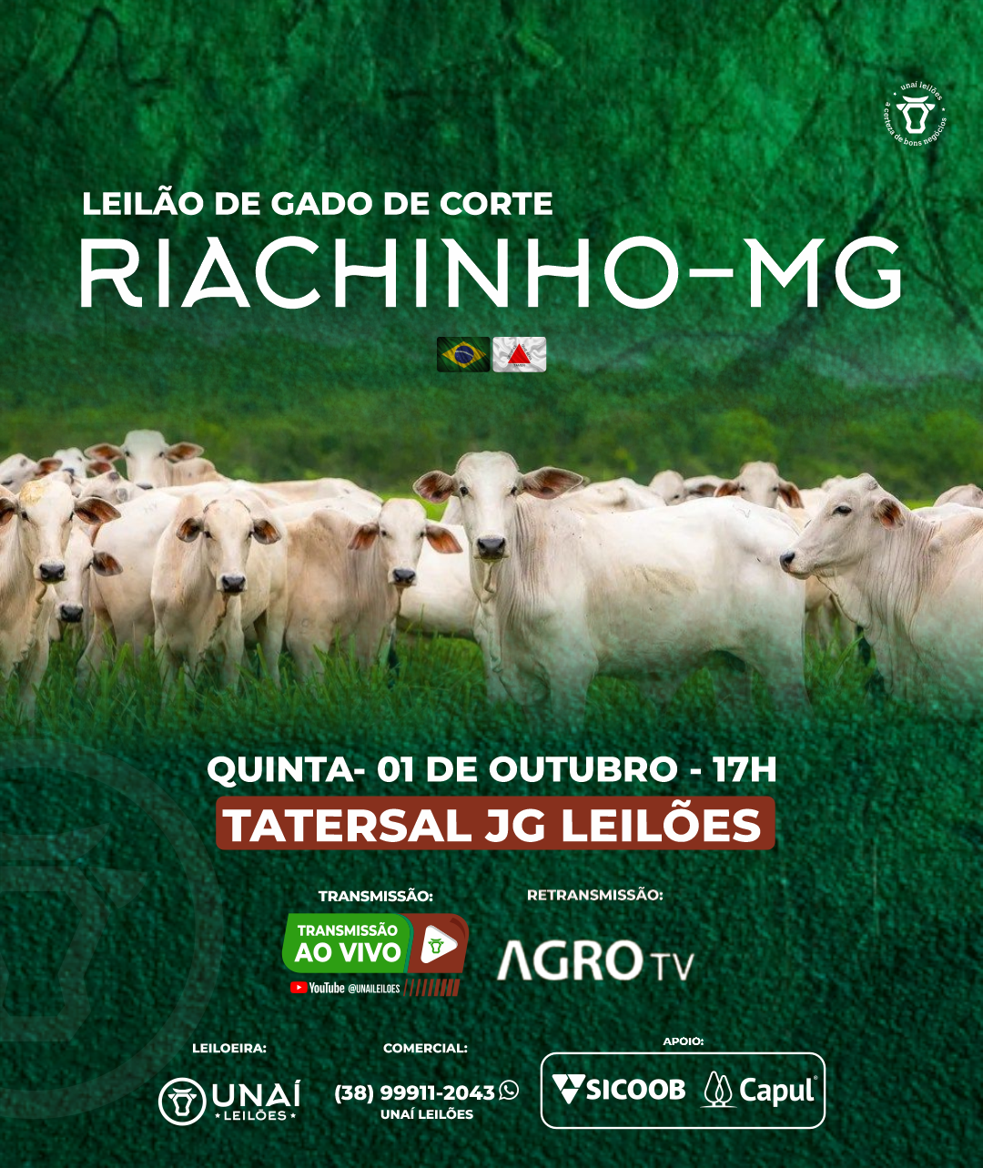 LEIL�O DE GADO DE CORTE DE RIACHINHO-MG