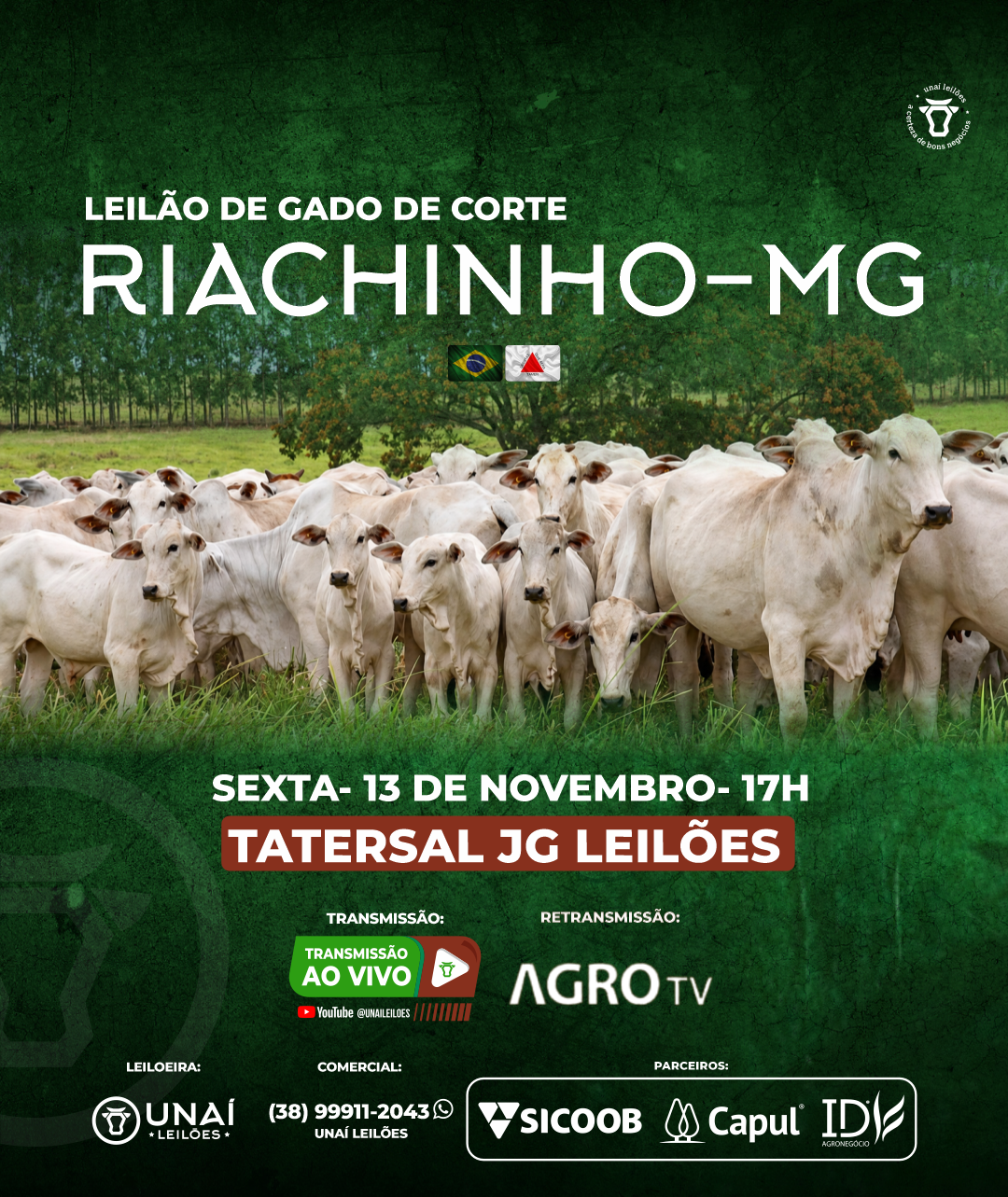 LEIL�O DE GADO DE CORTE DE RIACHINHO-MG