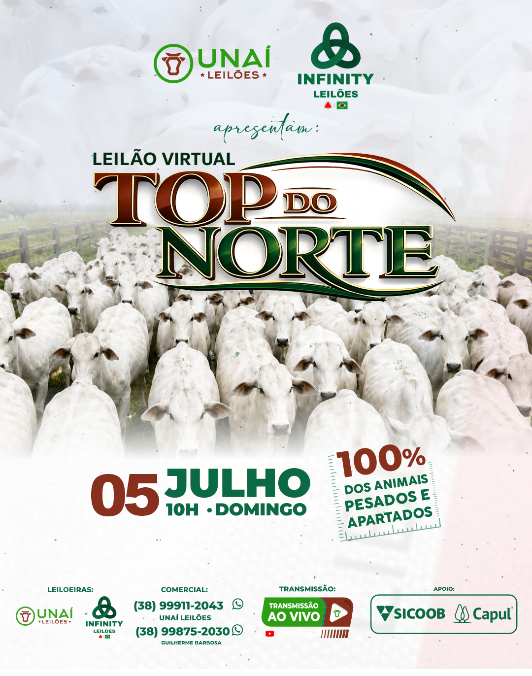LEIL�O VIRTUAL TOP DO NORTE