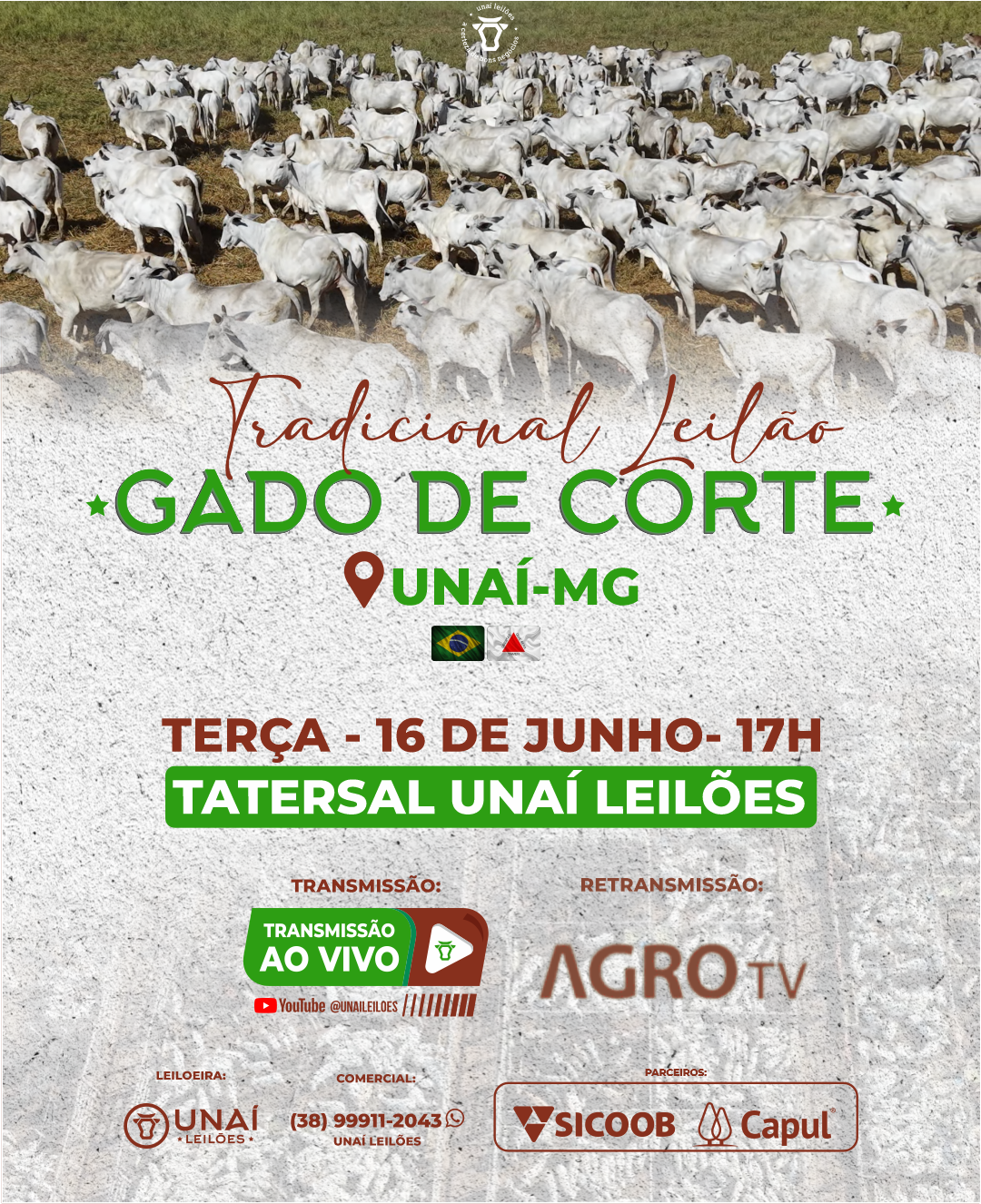LEIL�O DE GADO DE CORTE DE UNA�-MG
