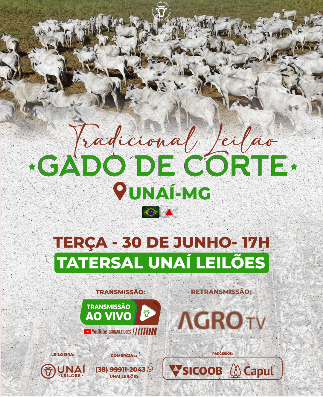LEIL�O DE GADO DE CORTE DE UNA�-MG