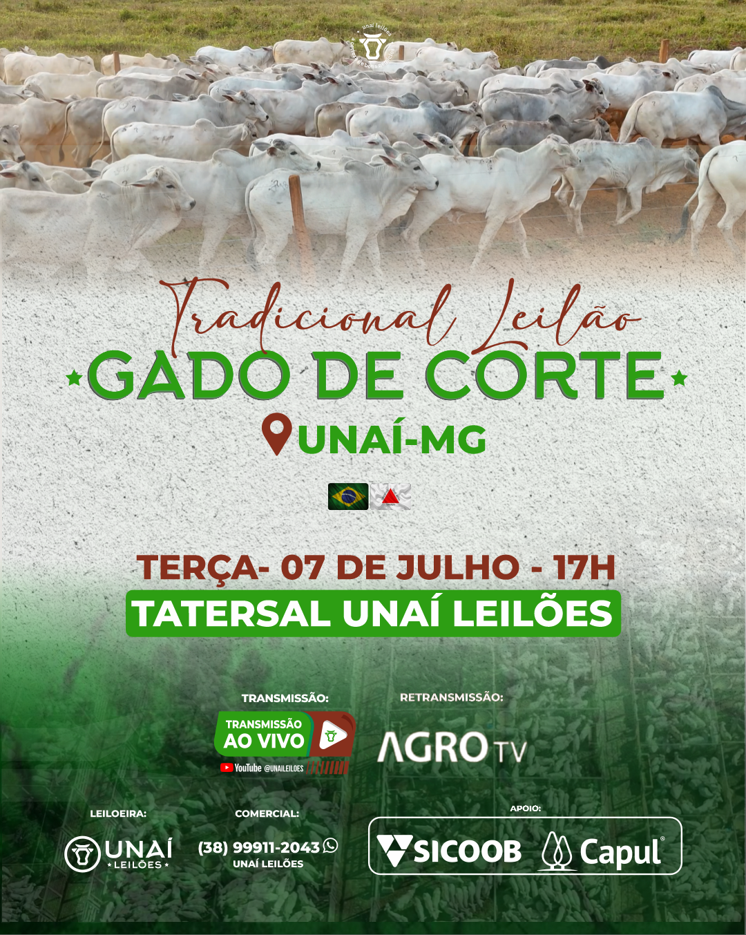 LEIL�O DE GADO DE CORTE DE UNA�-MG