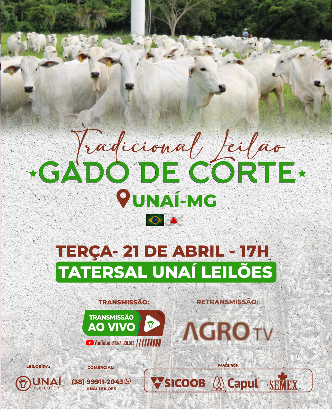 LEIL�O DE GADO DE CORTE DE UNA�-MG