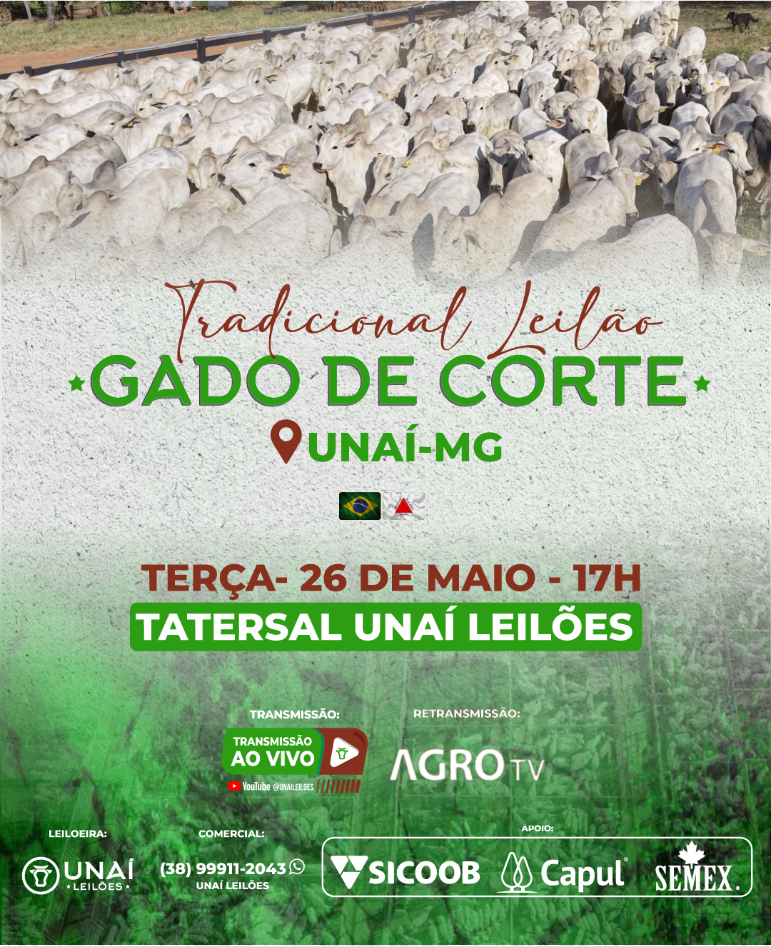 LEIL�O DE GADO DE CORTE DE UNA�-MG