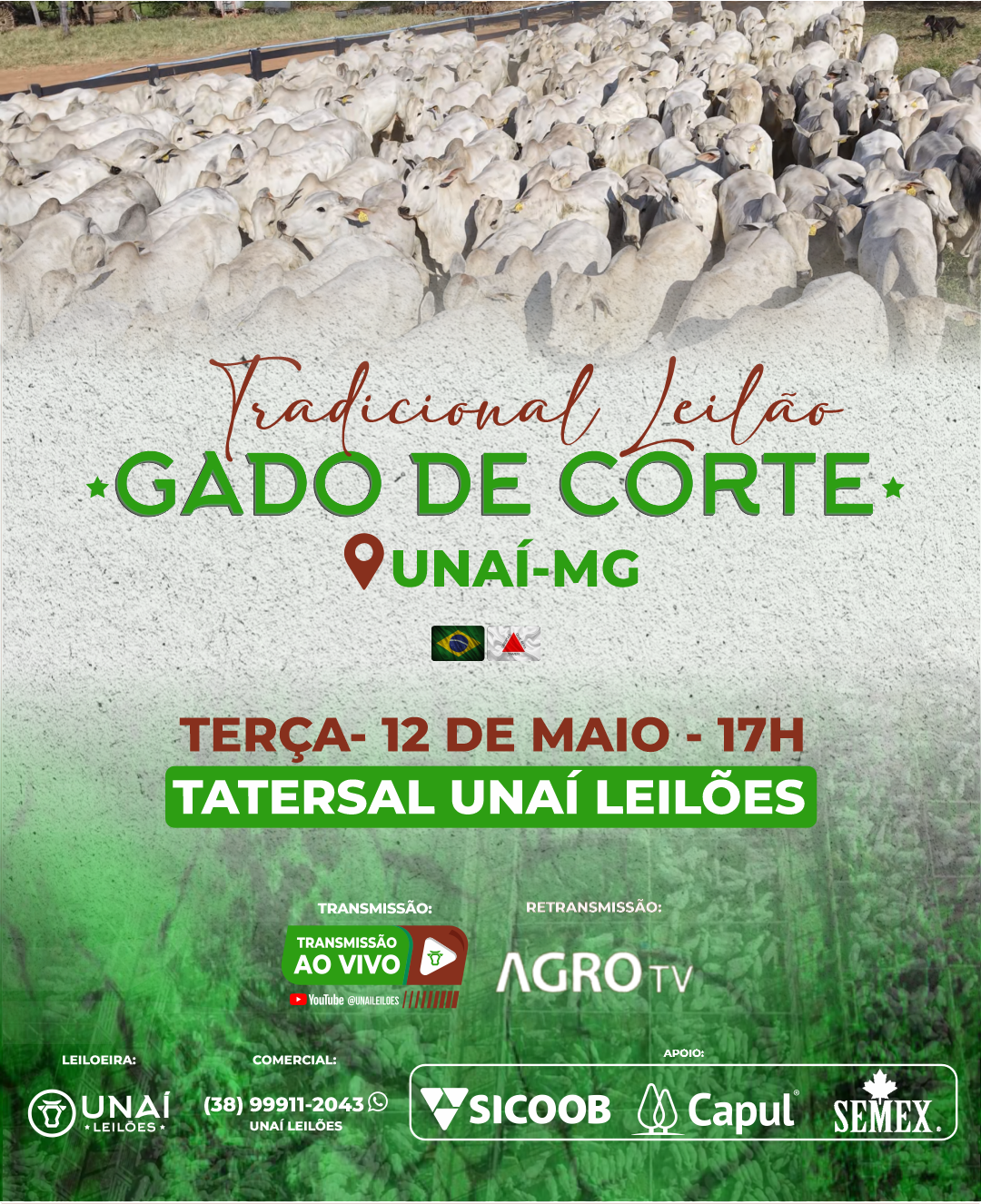 LEIL�O DE GADO DE CORTE DE UNA�-MG