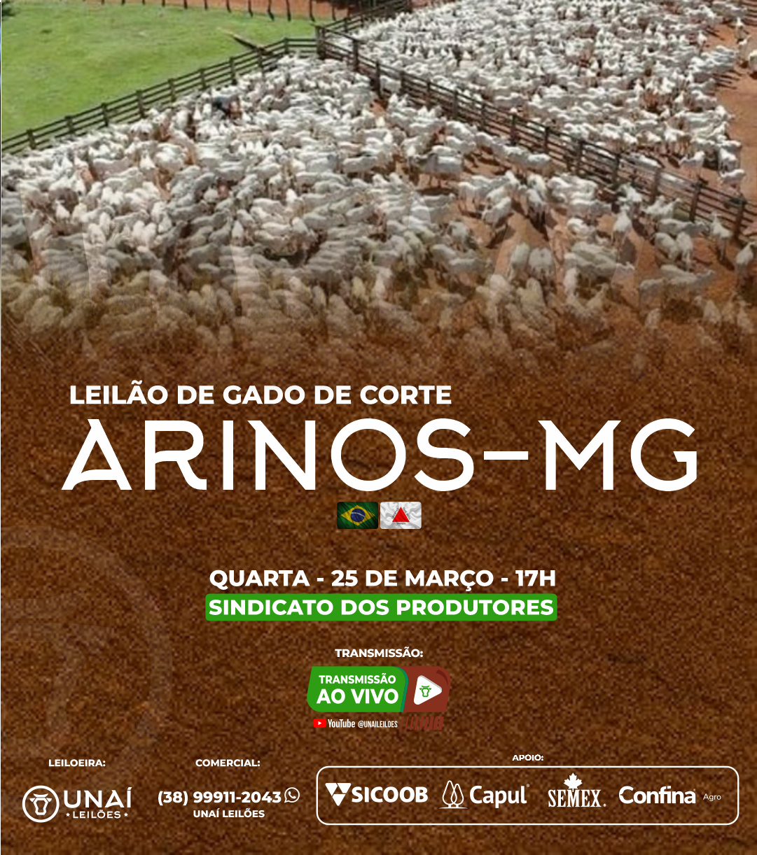 LEIL�O DE GADO DE CORTE DE ARINOS-MG