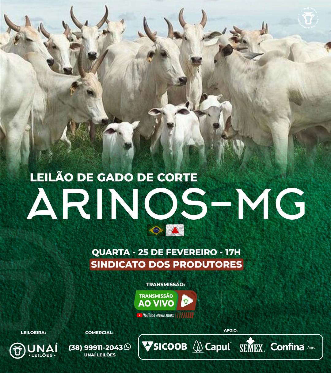LEIL�O DE GADO DE CORTE DE ARINOS-MG