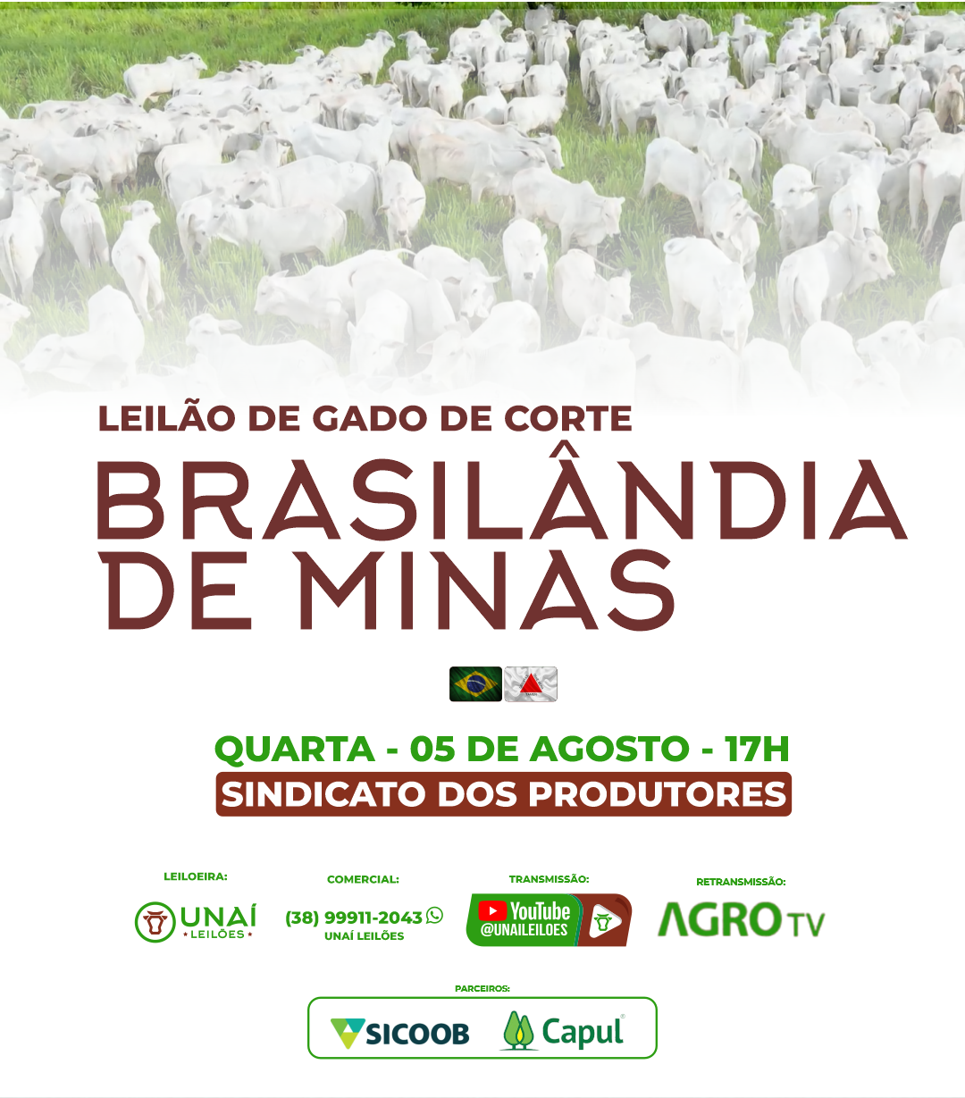 LEIL�O DE GADO DE CORTE DE BRASIL�NDIA DE MINAS-MG