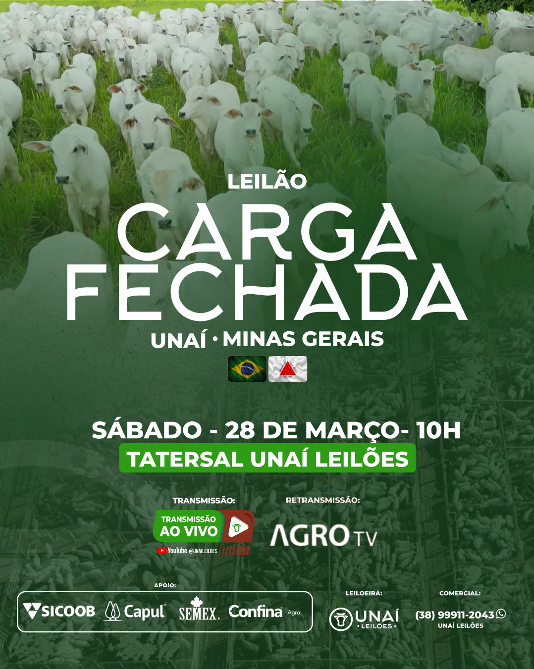 LEIL�O ESPECIAL CARGA FECHADA UNA�-MG