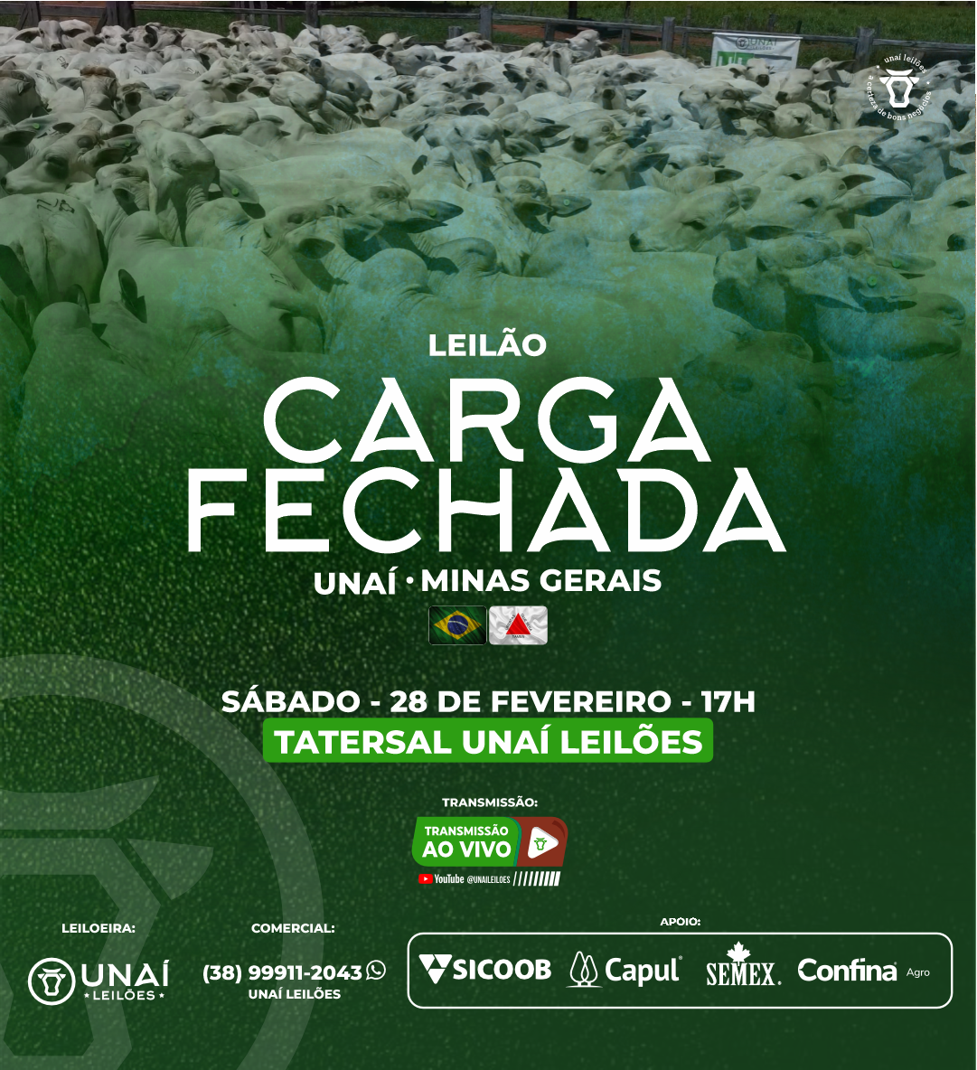 LEIL�O ESPECIAL CARGA FECHADA UNA�-MG