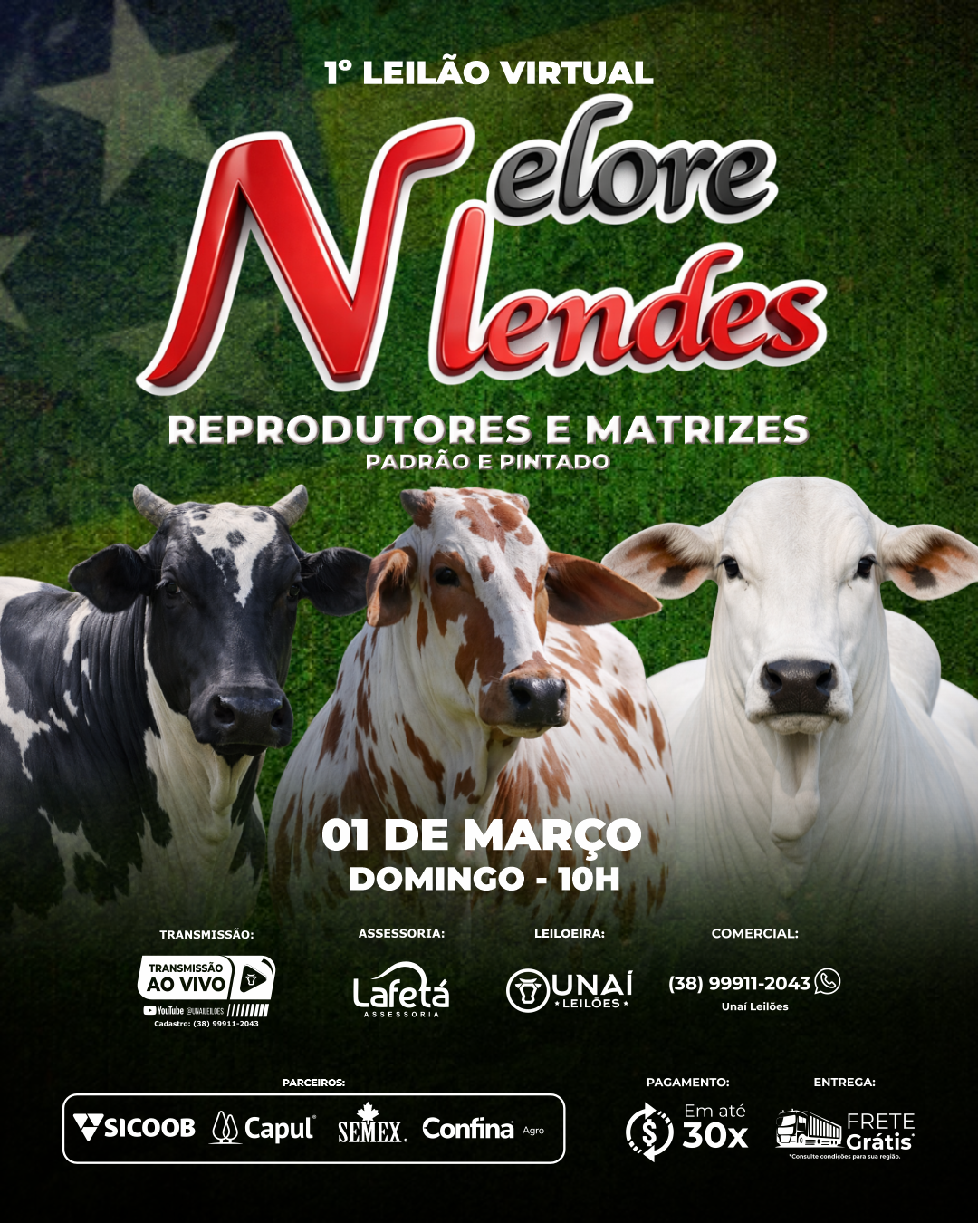1� LEIL�O VIRTUAL NELORE MENDES