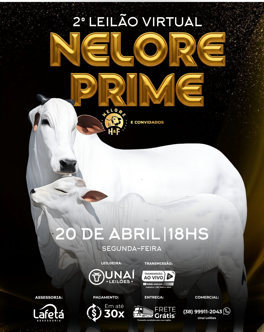 2� LEIL�O VIRTUAL NELORE PRIME