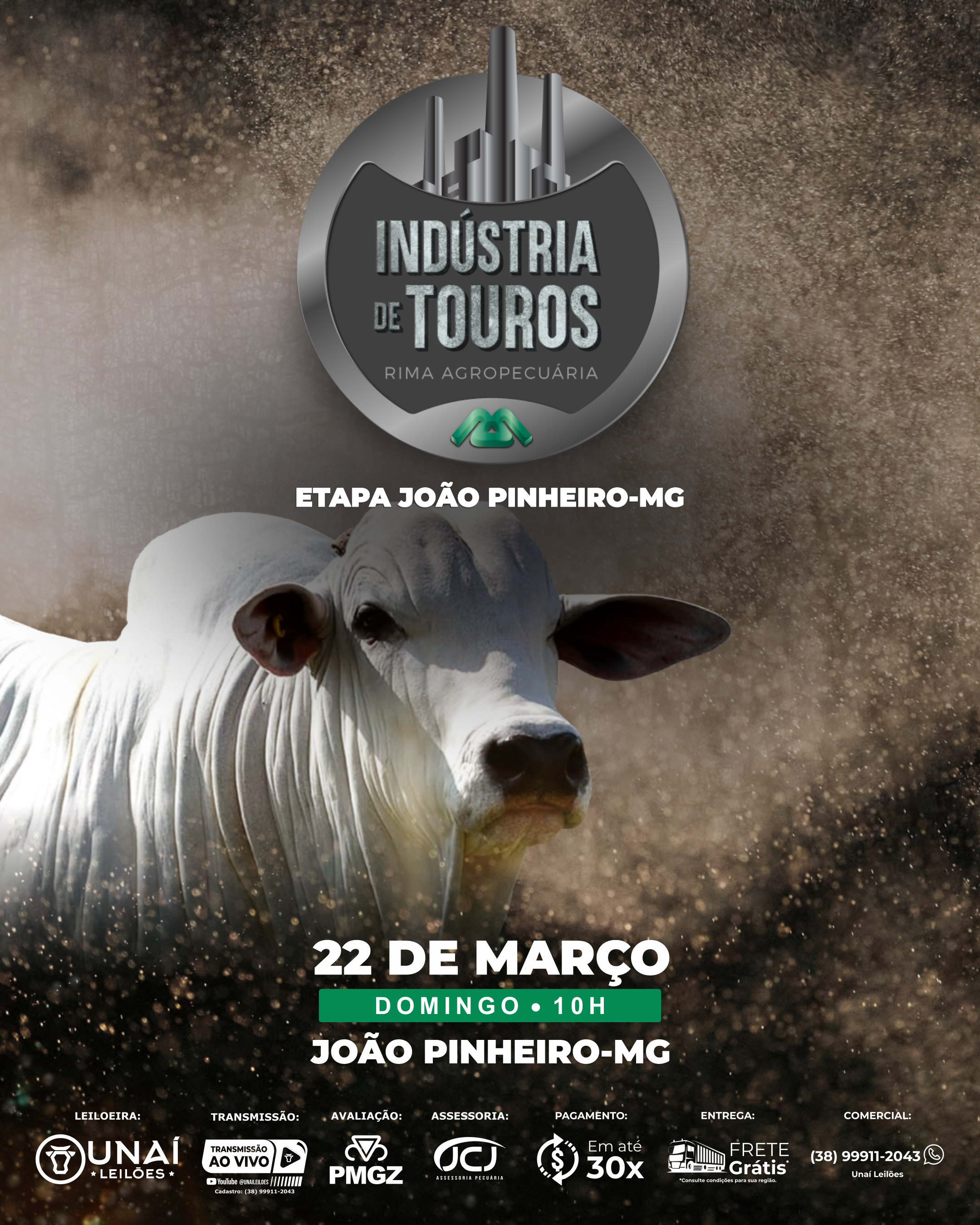 LEIL�O INDUSTRIA DE TOUROS RIMA - ETAPA JO�O PINHEIRO-MG