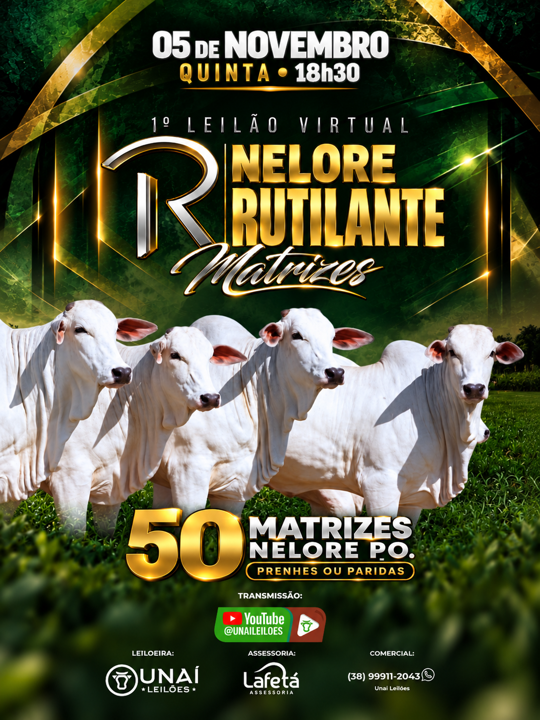 1� LEIL�O VIRTUAL MATRIZES NELORE RUTILANTE