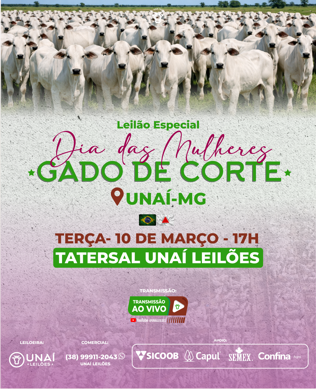 LEIL�O DE GADO DE CORTE DE UNA�-MG