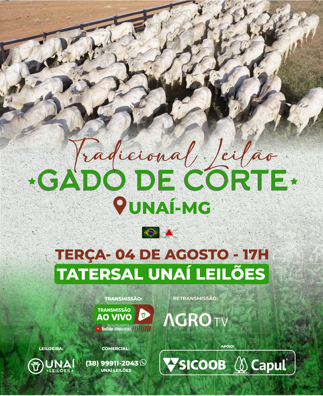 LEIL�O DE GADO DE CORTE DE UNA�-MG