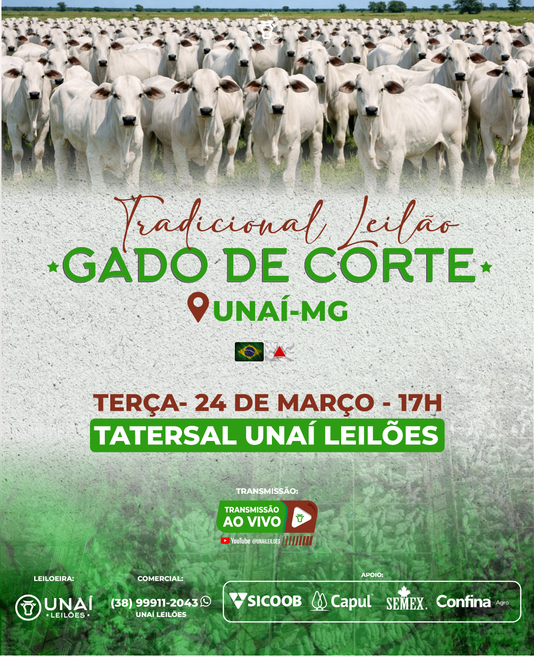 LEIL�O DE GADO DE CORTE DE UNA�-MG
