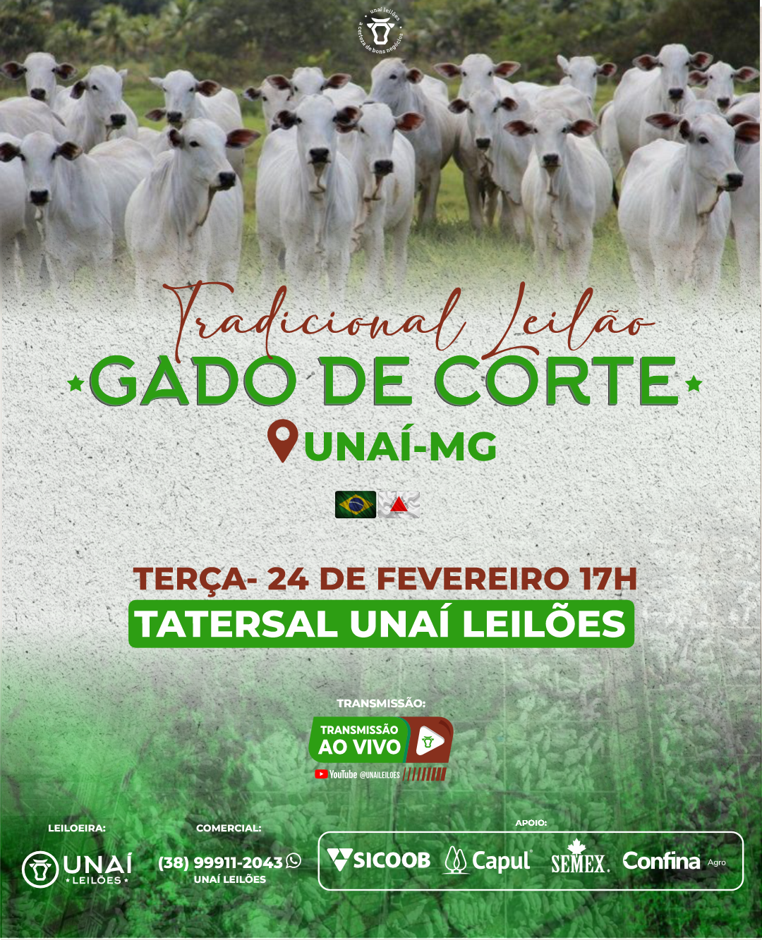 LEIL�O DE GADO DE CORTE DE UNA�-MG